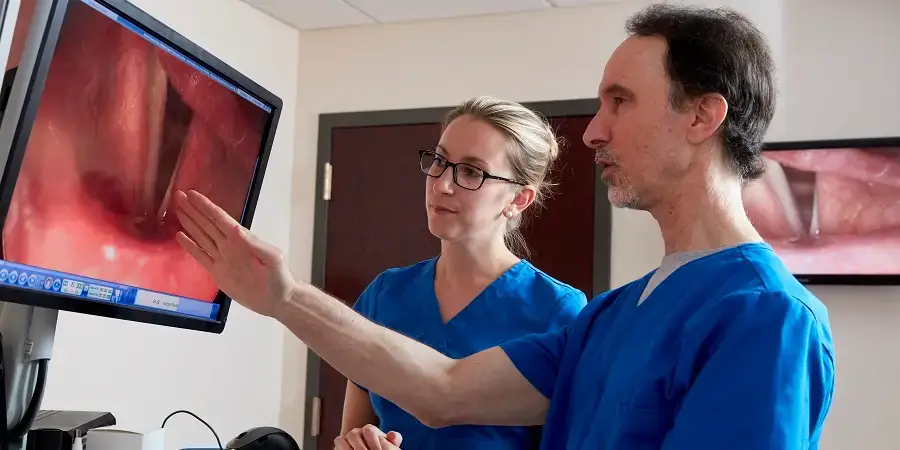 fonoaudiologo por fonasa en castro dalcahue chonchi cuerdas vocales